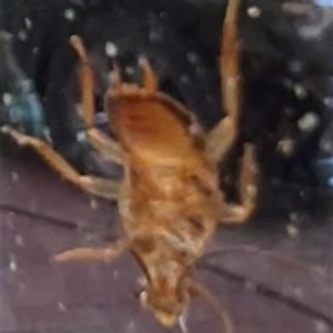 Unverified at suppressed - suppressed