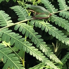 Unverified at suppressed - suppressed