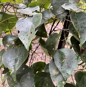 Unverified at suppressed - suppressed