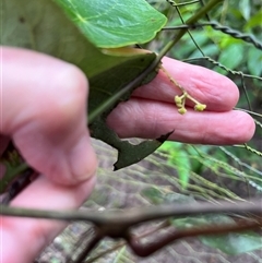 Unverified at suppressed - suppressed