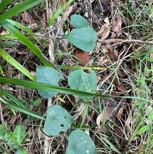 Unverified at suppressed - suppressed