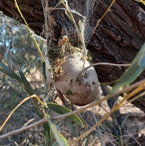 Unverified at suppressed - suppressed