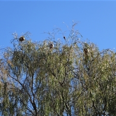 Unverified at suppressed - suppressed