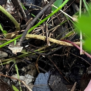 Unverified at suppressed - suppressed