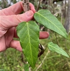 Unverified at suppressed - suppressed