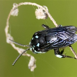 Unverified at suppressed - suppressed