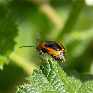 Unverified at suppressed - suppressed