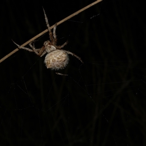 Unverified at suppressed - suppressed