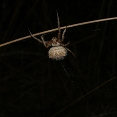 Unverified at suppressed - suppressed