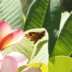 Unverified at suppressed - suppressed