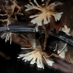 Unverified at suppressed - suppressed