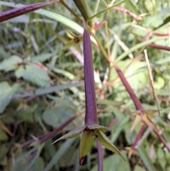 Unverified at suppressed - suppressed