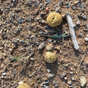 Unverified at suppressed - suppressed