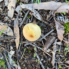 Unverified at suppressed - suppressed