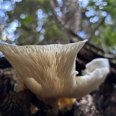 Unverified at suppressed - suppressed