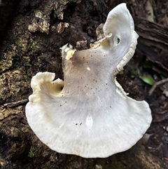 Unverified at suppressed - suppressed