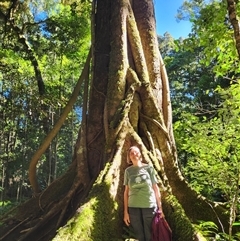 Unverified Other Tree at Bunya Mountains, QLD - 12 Jul 2024 by Purschy
