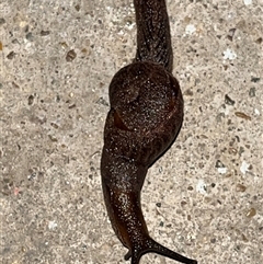 Unverified at suppressed - suppressed