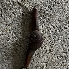 Unverified at suppressed - suppressed