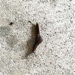 Unverified at suppressed - suppressed