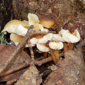 Unverified at suppressed - suppressed