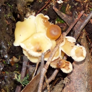 Unverified at suppressed - suppressed