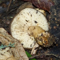 Unverified at suppressed - suppressed