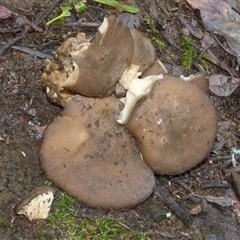 Unverified at suppressed - suppressed