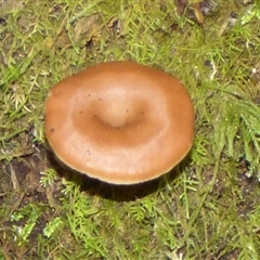 Unverified at suppressed - suppressed