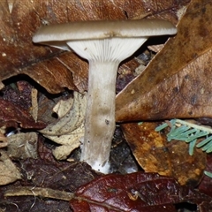 Unverified at suppressed - suppressed