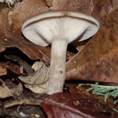 Unverified at suppressed - suppressed