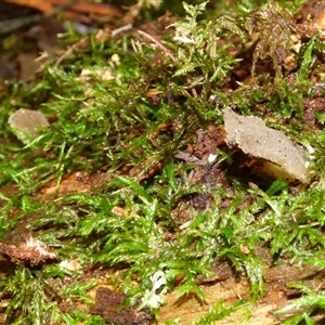 Unverified at suppressed - suppressed