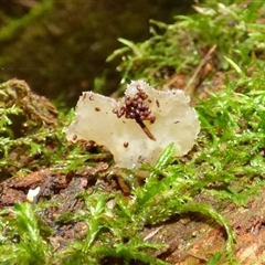 Unverified at suppressed - suppressed