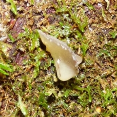 Unverified at suppressed - suppressed