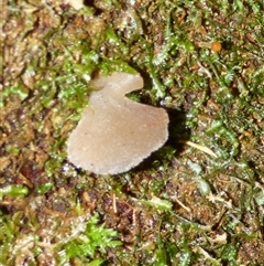 Unverified at suppressed - suppressed