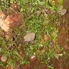 Unverified at suppressed - suppressed