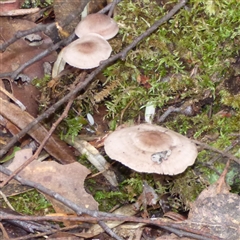 Unverified at suppressed - suppressed