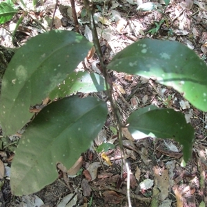 Unverified at suppressed - suppressed