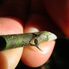 Unverified at suppressed - suppressed