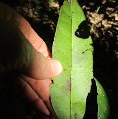 Unverified at suppressed - suppressed