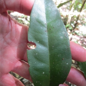 Unverified at suppressed - suppressed