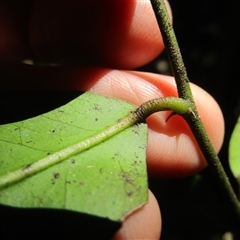 Unverified at suppressed - suppressed