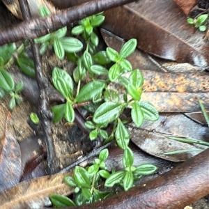 Unverified at suppressed - suppressed