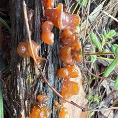 Unverified at suppressed - suppressed