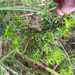 Unverified at suppressed - suppressed