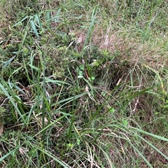 Unverified at suppressed - suppressed