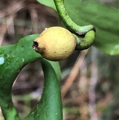 Unverified at suppressed - suppressed