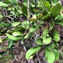 Unverified at suppressed - suppressed