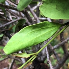 Unverified at suppressed - suppressed