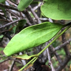 Unverified at suppressed - suppressed